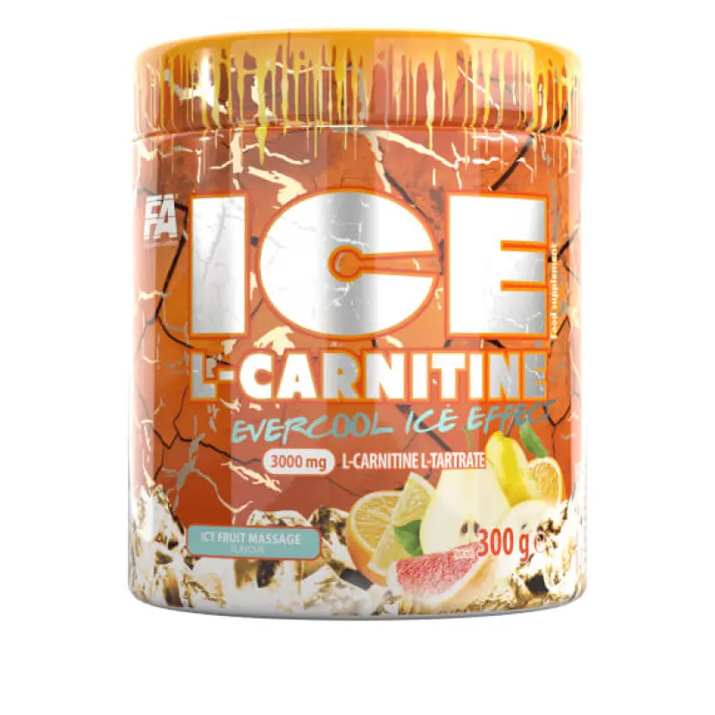 FA Ice L-Carnitine 300 gr | 75 porsiya