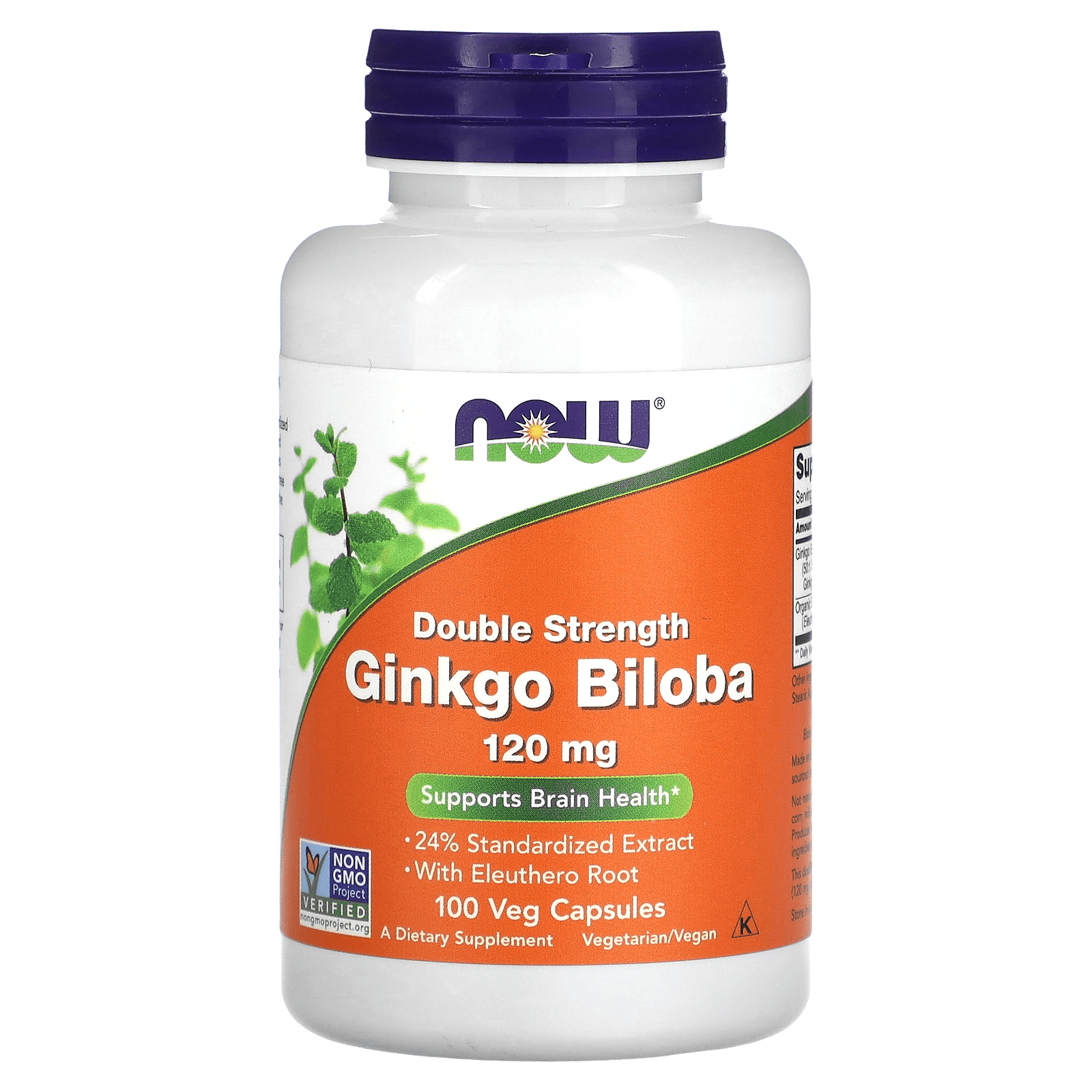 NOW Foods, Ginkgo Biloba, 120mg, 100 veg capsules