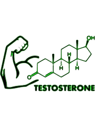 Testosteron uchun